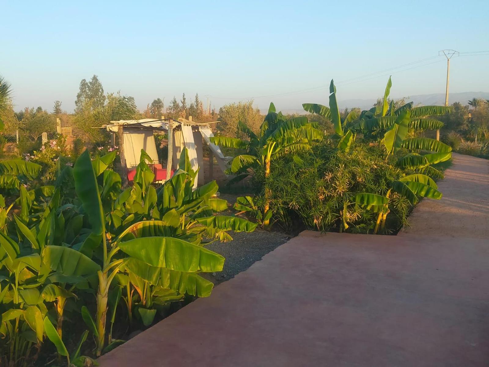 Chez Jm Saida Bed & Breakfast Ourika Ngoại thất bức ảnh